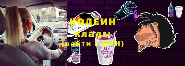 ГАЛЛЮЦИНОГЕННЫЕ ГРИБЫ Гусев