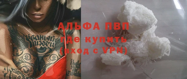 ГАЛЛЮЦИНОГЕННЫЕ ГРИБЫ Гусев