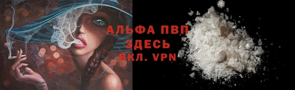 ГАЛЛЮЦИНОГЕННЫЕ ГРИБЫ Гусев