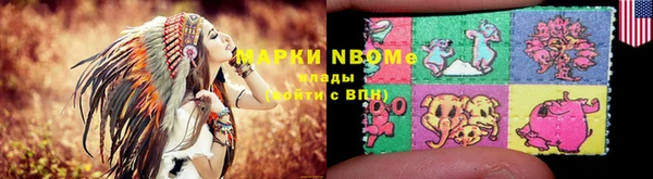 ГАЛЛЮЦИНОГЕННЫЕ ГРИБЫ Гусев